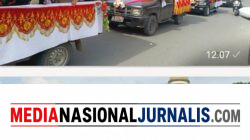 Puluhan Ribu Masyarakat Kabupaten Bireuen Meriahkan HUT Kemerdekaan RI ke-81