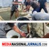 Rutan Bener Meriah Mantapkan Ketahanan Pangan, Hasil Panen Lele Disalurkan ke Koperasi dan Dapur Rutan
