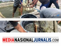 Rutan Bener Meriah Mantapkan Ketahanan Pangan, Hasil Panen Lele Disalurkan ke Koperasi dan Dapur Rutan