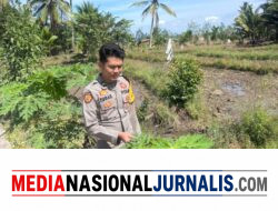 Bhabinkamtibmas  Desa Kungkilan Cek  Pekarangan Bergizi, Dukung Ketahanan Pangan 