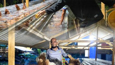 Tambahan Kegiatan Pembinaan Kemandirian,Rutan Tanjung Pura Masukkan 200 Ekor Ayam Siap Bertelur diSarana Asimilasi dan Edukasi
