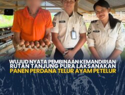 Wujud Nyata Pembinaan Kemandirian Rutan tanjung Pura Laksanakan Panen Perdana Telur Ayam Petelur