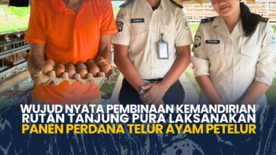 Wujud Nyata Pembinaan Kemandirian Rutan tanjung Pura Laksanakan Panen Perdana Telur Ayam Petelur