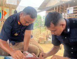 Persiapan Penanaman Tahap Berikutnya Rutan Tanjung Pura laksanakan Penyemaian Benih Sawi Hidroponik di Lahan Ketahanan Pangan
