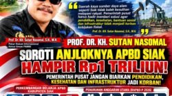 Prof Dr Sutan Nasomal Klaem Pemerintah Pusat Turut Bertanggungjawab Atas Anjloknya APBD Kabupaten Siak
