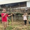 Karutan Bersama Jajaran, Peserta Magang, dan Warga Binaan Rutan Kelas IIB Tanjung Pura Bahu-Membahu Laksanakan Pemasangan Lanjaran Tanaman Labu Siam serta Pemberian Cairan Penyubur Tanah pada Lahan Ketahanan Pangan