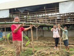 Karutan Bersama Jajaran, Peserta Magang, dan Warga Binaan Rutan Kelas IIB Tanjung Pura Bahu-Membahu Laksanakan Pemasangan Lanjaran Tanaman Labu Siam serta Pemberian Cairan Penyubur Tanah pada Lahan Ketahanan Pangan