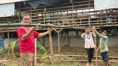 Karutan Bersama Jajaran, Peserta Magang, dan Warga Binaan Rutan Kelas IIB Tanjung Pura Bahu-Membahu Laksanakan Pemasangan Lanjaran Tanaman Labu Siam serta Pemberian Cairan Penyubur Tanah pada Lahan Ketahanan Pangan