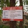 Perkuat Infrastruktur Desa, Pemdes Cikutamahi Mulai Peningkatan Jalan Kampung
