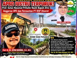 Prof. Dr. KH. Sutan Nasomal Pasang Badan untuk Pemkab Siak! Bupati Afni Zulkifli Hadapi Tekanan APBD